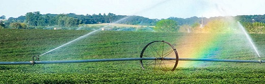 Agricultural Biologicals Market – Sustainable Products