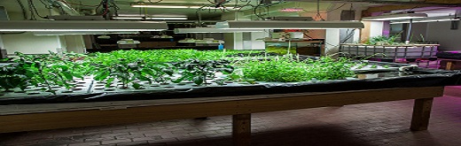 Innovation in Aqua Cultivation