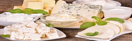 Dairy Ingredients Market Growth β Reinforcing Dairy Protein Consumption