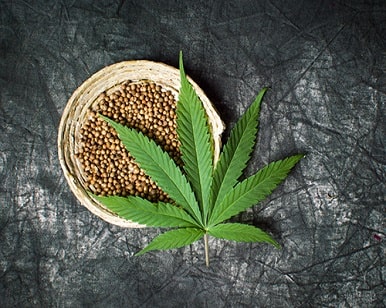 A Versatile and Sustainable Choice: Industrial Hemp