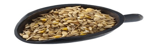 Organic Feed Market Trend – Fostering Sustainable Livestock Farming