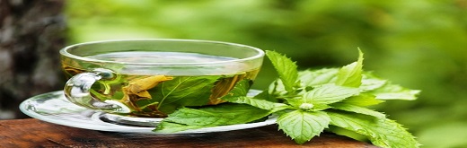Organic Tea Market Trend – Fostering Soildari-Tea Over Healthy Invigoration