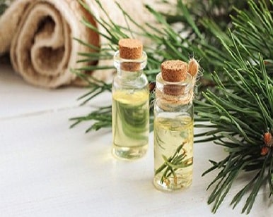 Pine-Derived Chemicals — Versatile Bio-Based Renewables