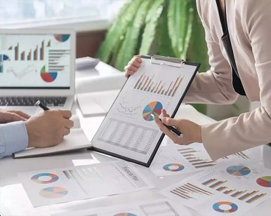 Risk Analysis and Market Scope: Portfolio Management System