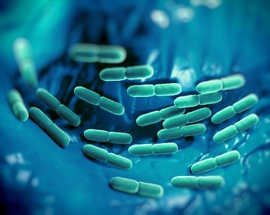 Growing Trend for Probiotics Food