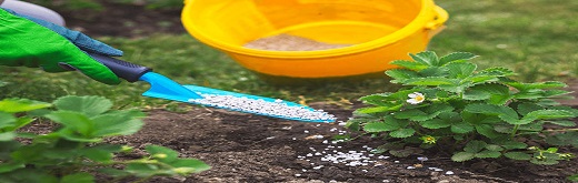 Silicon Fertilizer - Beneficial for Plant Growth