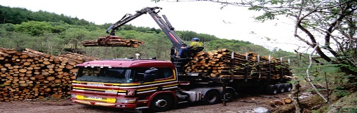 Timber Trailers Market - Adding Reinforcement to the Timber Industry