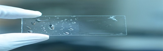 Diverse Industrial Applications Driving the Transparent Ceramics Market Growth