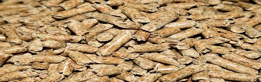 Global Wood Pellet Market Trend β A Regional Outlook