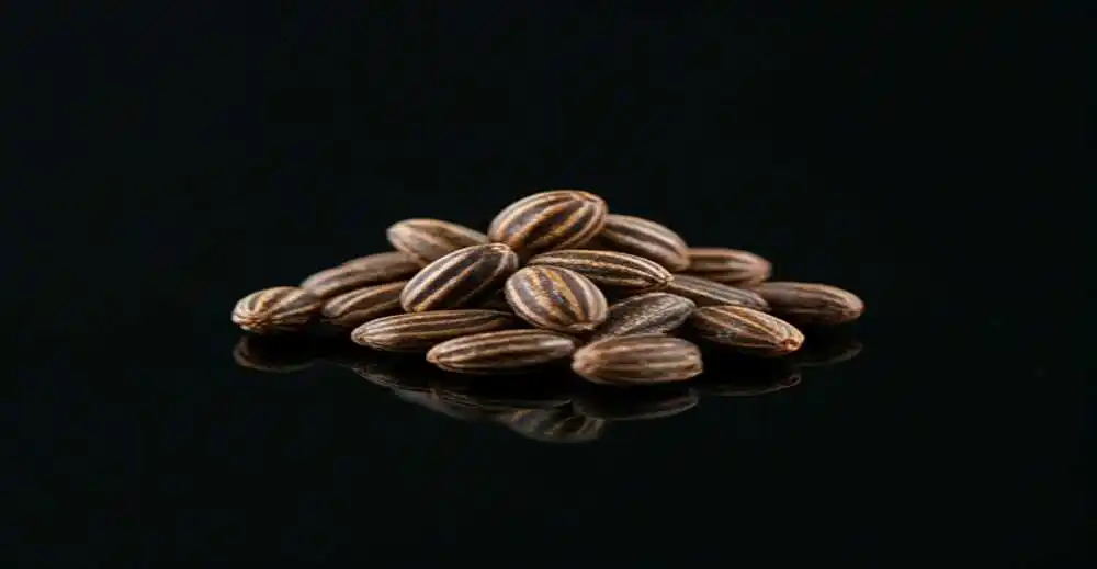 Hybrid Seeds Market size worth US$32.712 billion by 2029