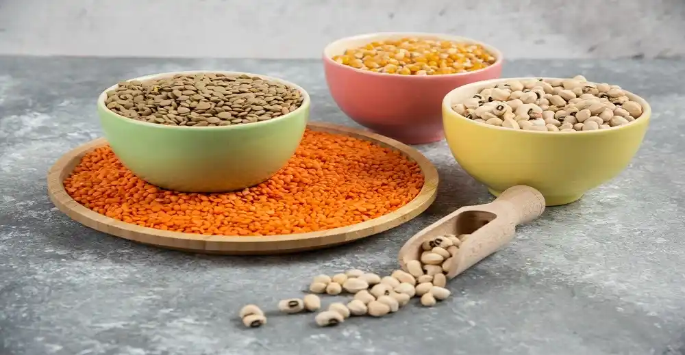Lentil Protein Market expected to reach US$190.394 million by 2030