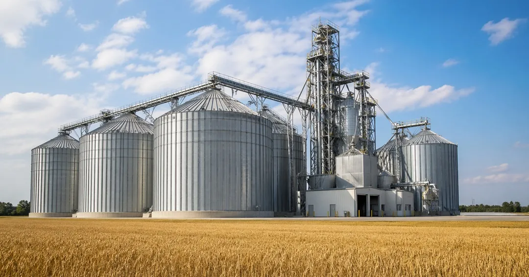 Top 10 Innovators in Grain Storage: From Steel Silos to Smart Infrastructure